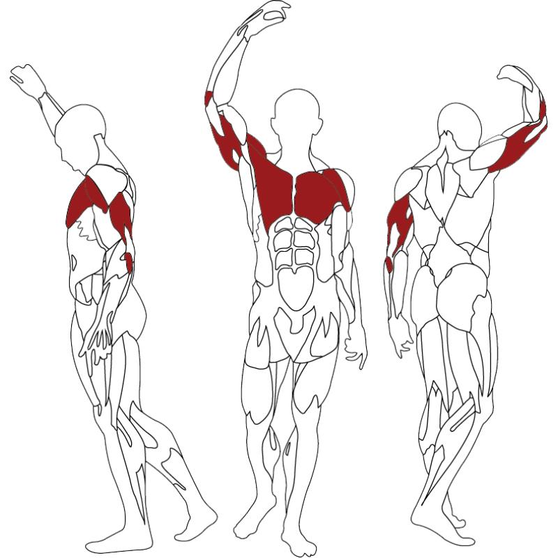 Triceps - dips - Appareils de Musculation - BH FITNESS- Clubs - Entreprises - Collectivités - Associations