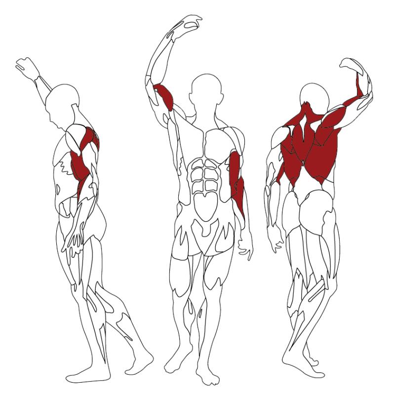 Machine de musculation à tirage horizontal - bh fitness rowing l290 noir - Appareils de Musculation - BH FITNESS- Clubs - Entreprises - Collectivités - Associations