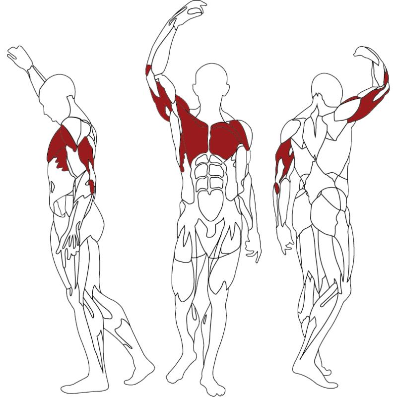 Banc développé couché bh l815 - Appareils de Musculation - BH FITNESS- Clubs - Entreprises - Collectivités - Associations