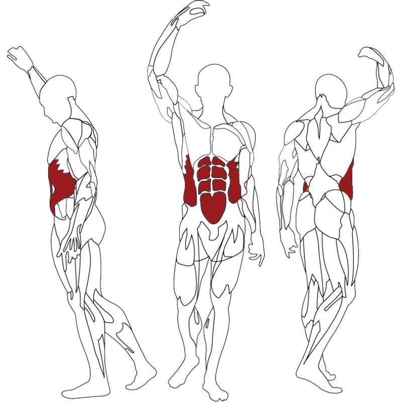 Chaise romaine bh l800 - Appareils de Musculation - BH FITNESS- Clubs - Entreprises - Collectivités - Associations