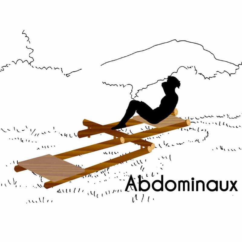 Module abdominaux - cardio parcours sportif - Fitness Extérieur - LOISIRS AMENAGEMENTS- Clubs - Entreprises - Collectivités - Associations