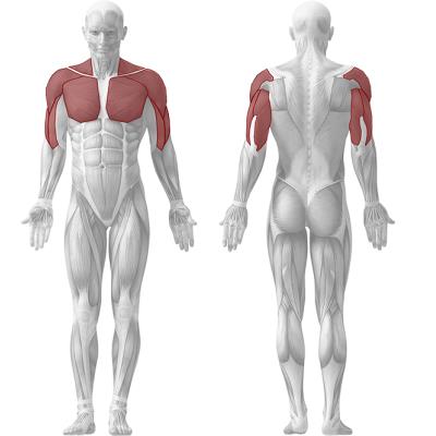 Appareil de musculation Laroq - Dorsy bas jaune 75 Kg 