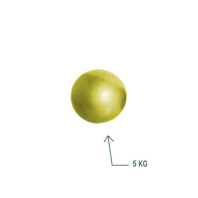 Lancer de poids 5 kg	