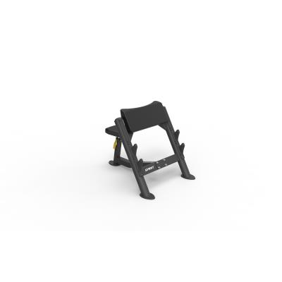 Banc larry scott biceps Spirit