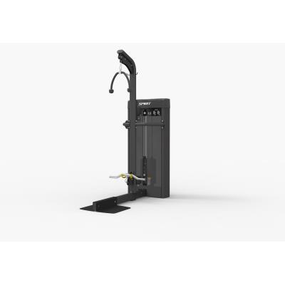 Standing biceps / triceps SP-4333